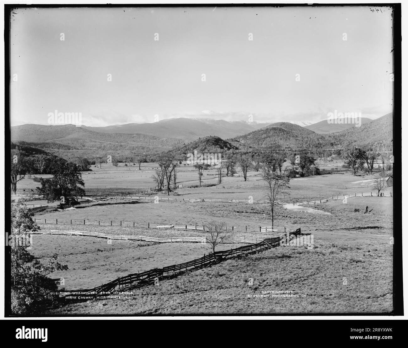 Mt. Washington from Intervale, North Conway, White Mountains, c1900