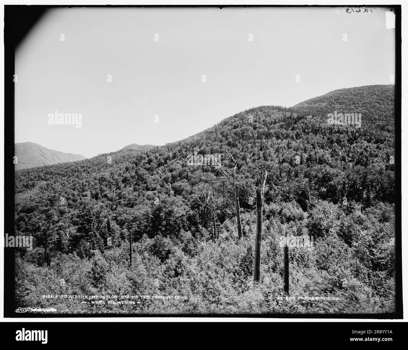 Mt. ster, Mt. Avalon, and Mt. Tom, White Mountains, between 1890 and