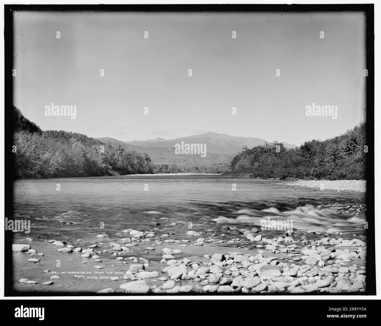 Mt. Washington from the Saco, North Conway, White Mountains, c1900