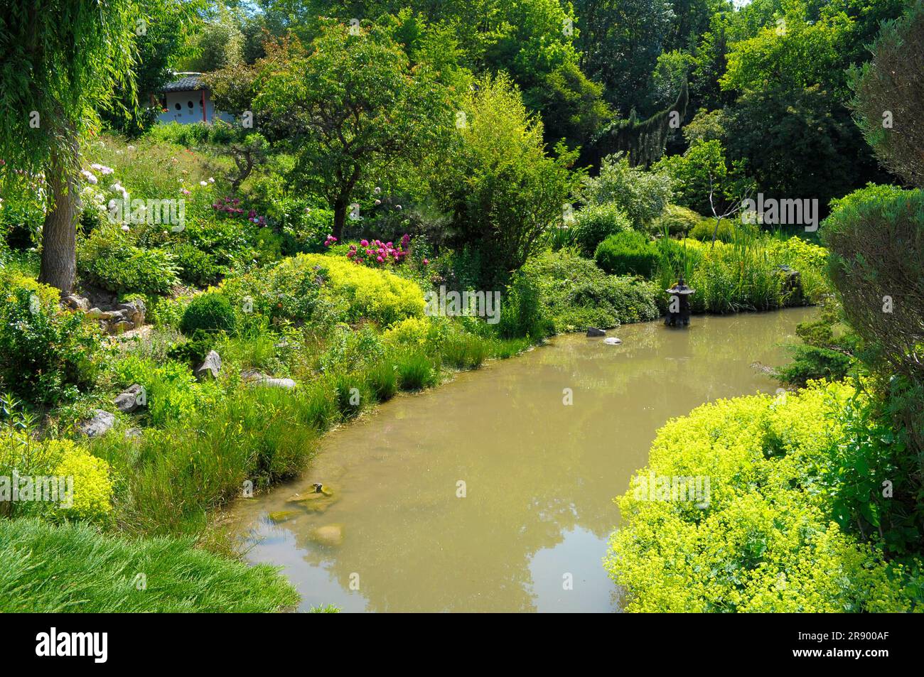 Asian garden in Muenzesheim, Kraichgau, Japan garden, pond, murky water