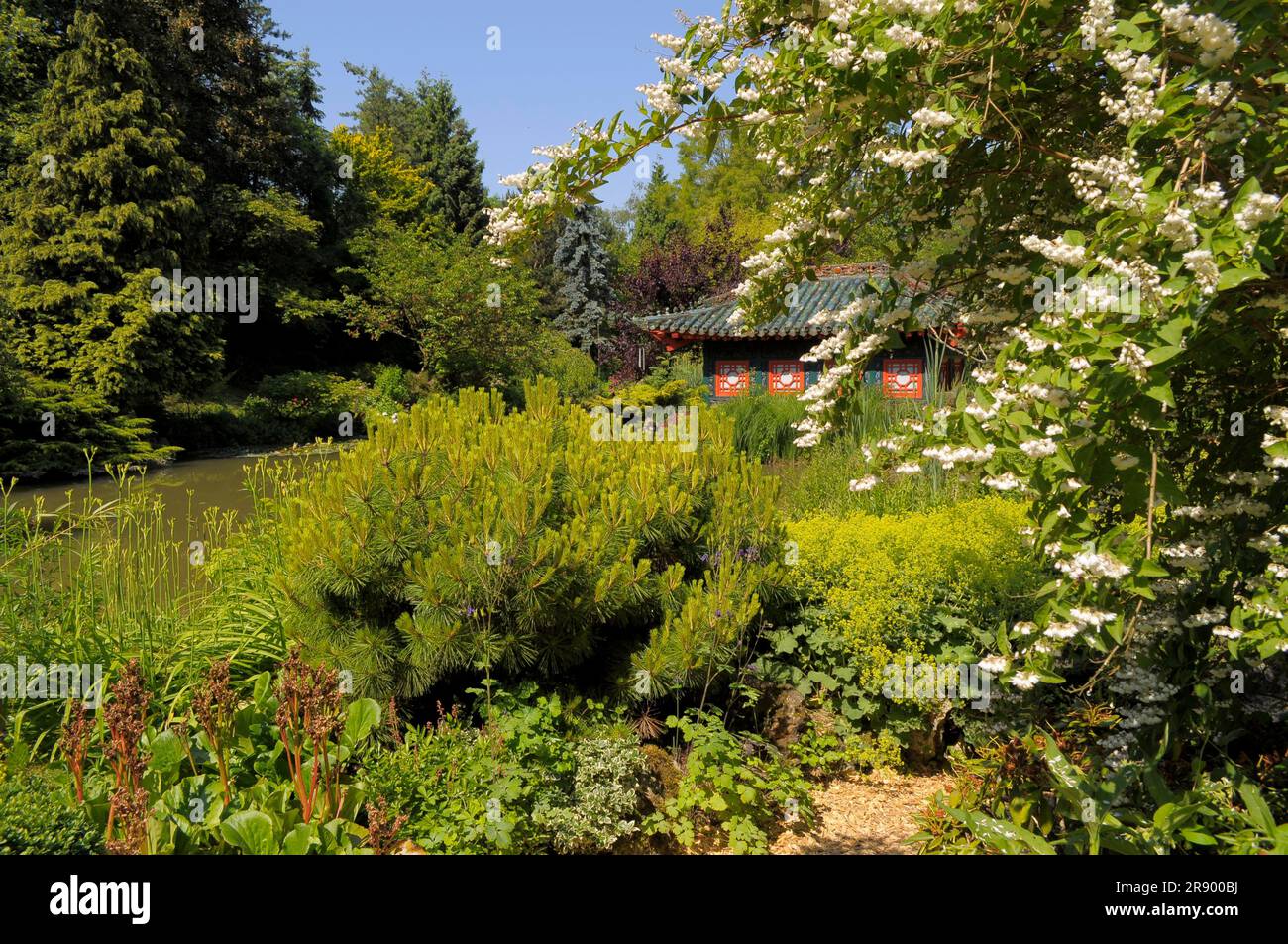 Asian Garden in Muenzesheim, Kraichgau, Japan Garden Stock Photo