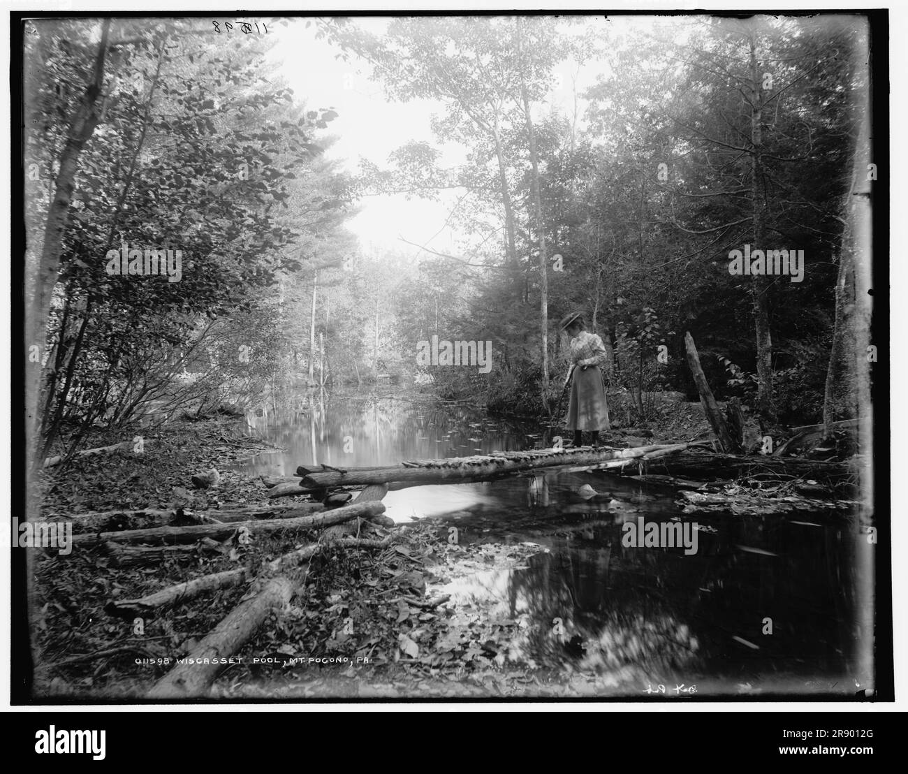 Wiscasset Pool, Mt. Pocono, Pa., between 1890 and 1901 Stock Photo Alamy