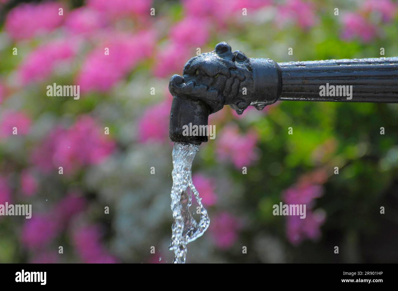 Fountain with running water Stock Photo Alamy