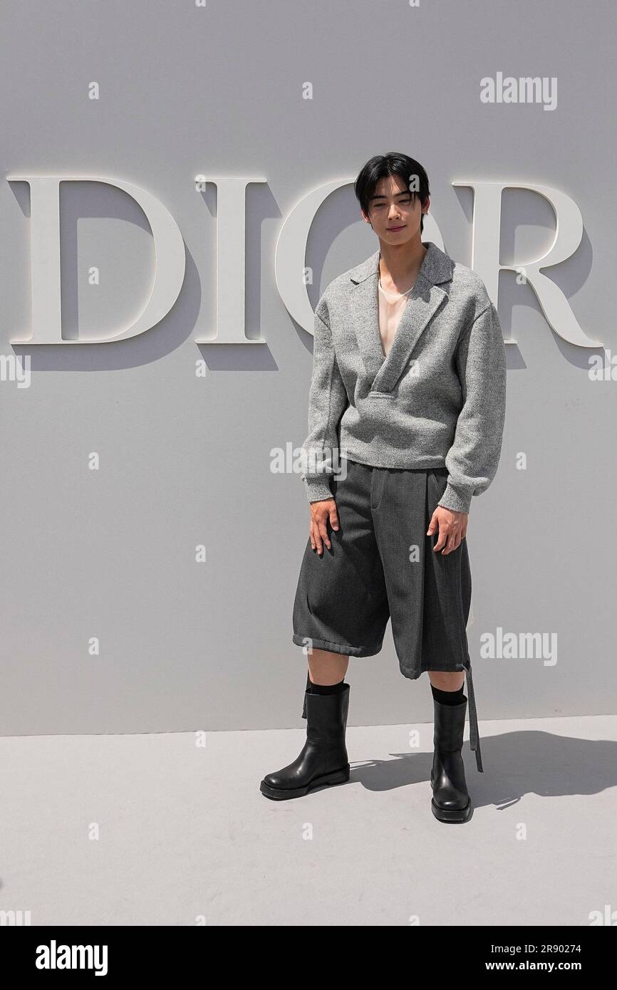 Cha Eun-woo poses for photographers upon arrival at the Dior Menswear  Spring/Summer 2024 fashion collection presented in Paris, Friday, June 23,  2023. (AP Photo/Michel Euler Stock Photo - Alamy