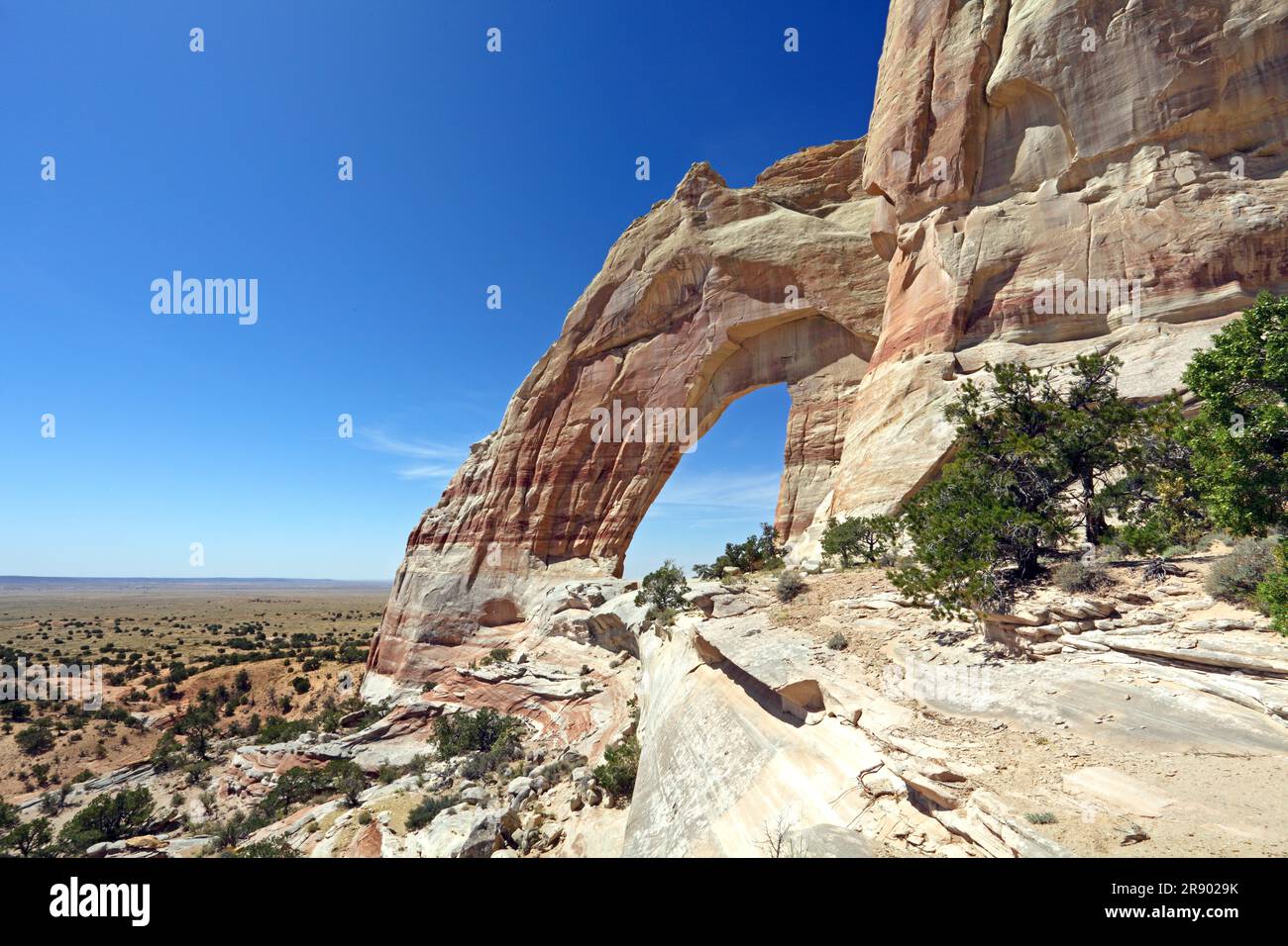 White Mesa Arch, Navajo Reservation, near Tuba City, Arizona, USA Stock