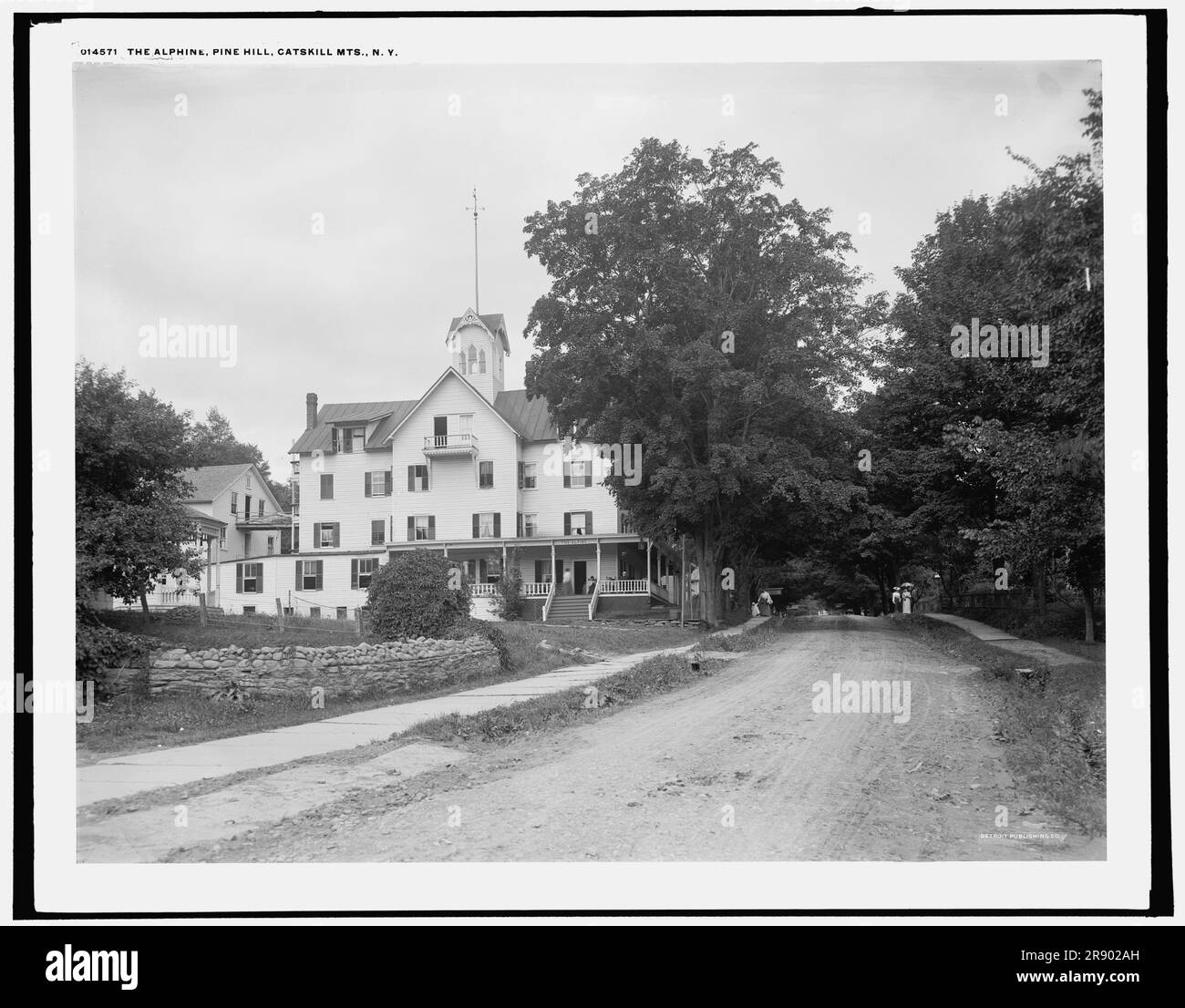 The Alphine i.e. Alpine, Pine Hill, Catskill Mts., N.Y., (1902 Stock