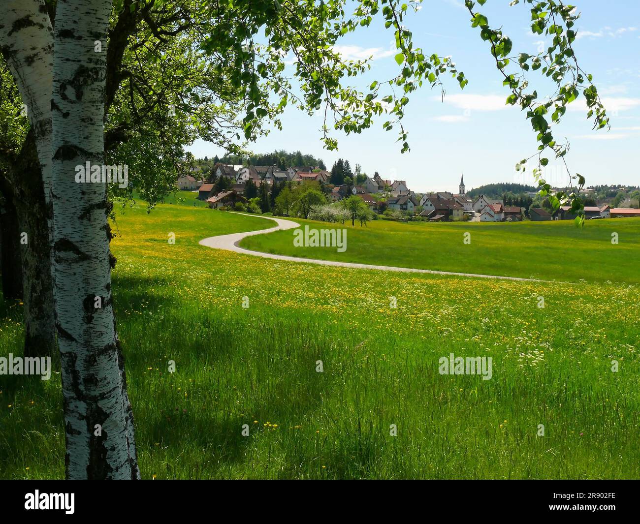 Outskirts of forest hi-res stock photography and images - Alamy