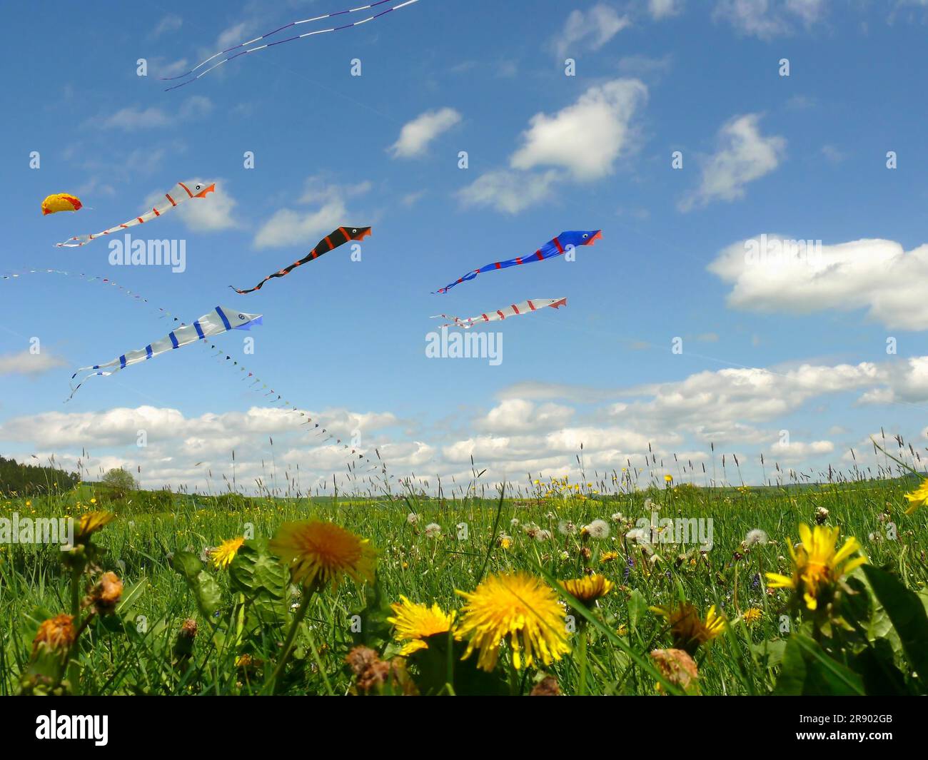 Intern. Drachentage Donaueschingen, homebuilt kites. Black Forest, Baden-Wuerttemberg, Germany Stock Photo