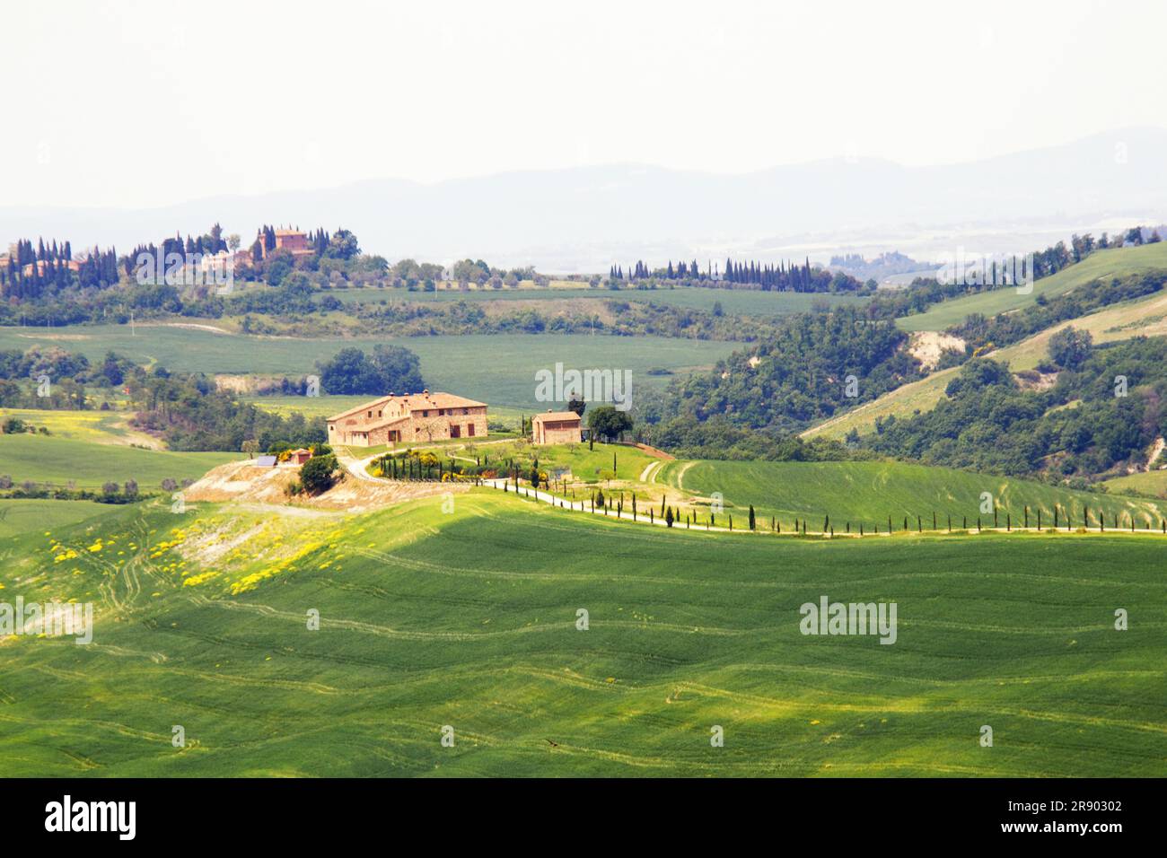 Stone house in field in tuscany hi-res stock photography and images - Alamy