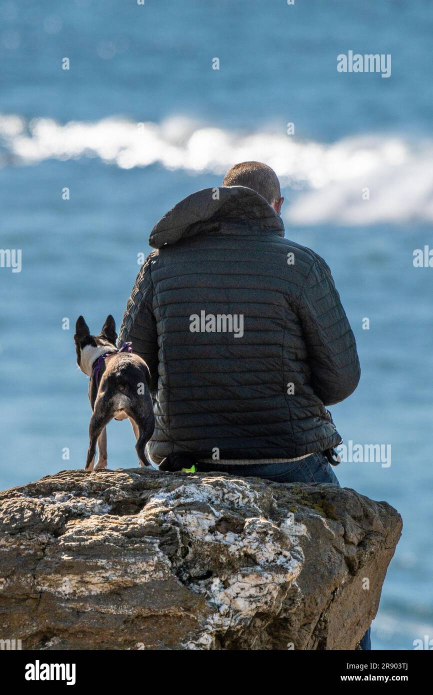 Dog rear view sitting hi-res stock photography and images - Alamy