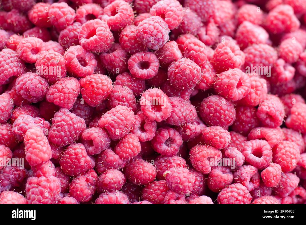 Big raspberries hi-res stock photography and images - Alamy