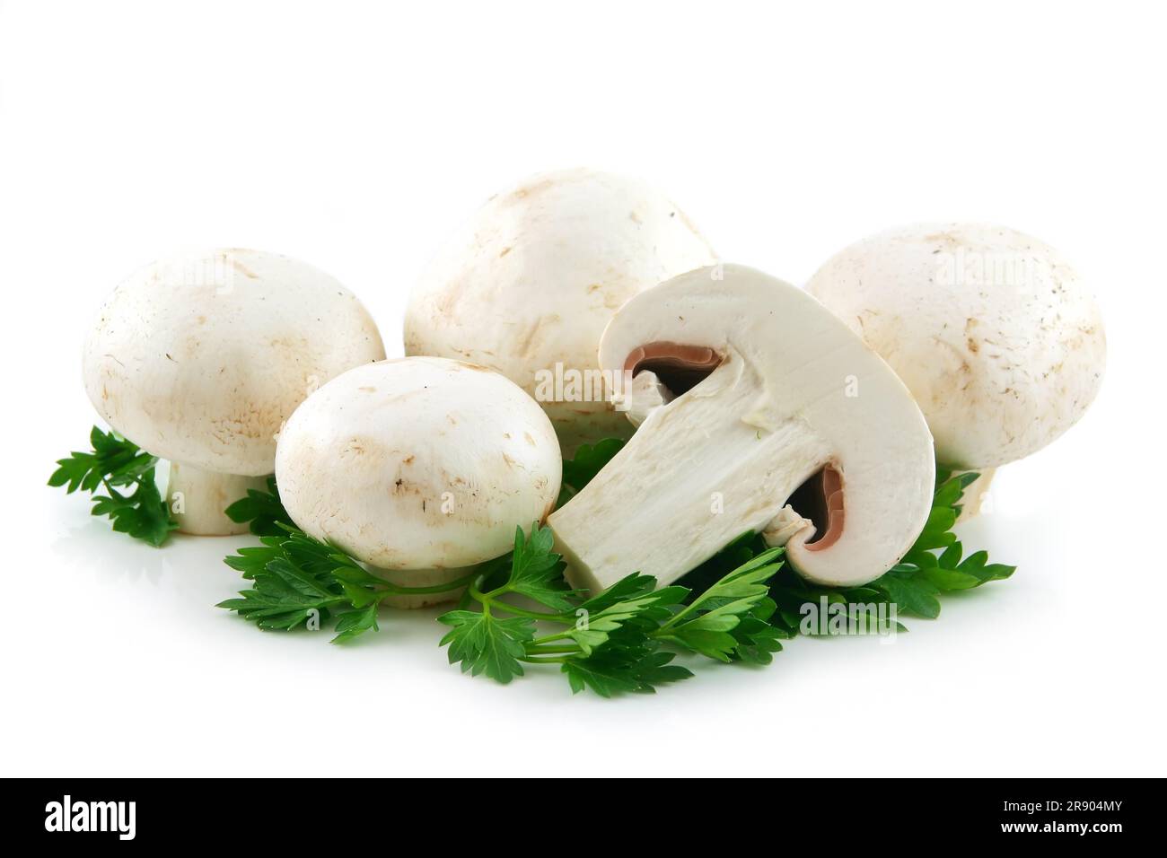 Champignon Mushrooms and Parsley Isolated on White Background Stock Photo