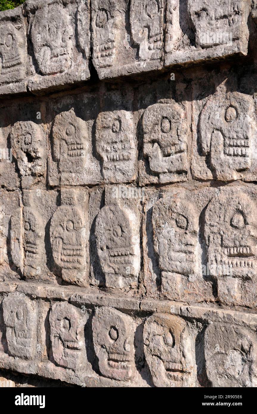 Relief of skulls, Plataforma de los Craneos Tzompantli, Chichen Itza, Yucatan, Yucatan, Mexico Stock Photo