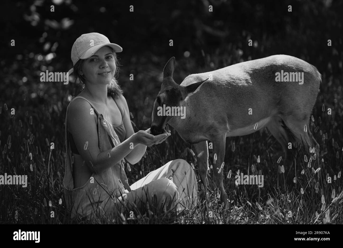 Unity with nature. Girl feed deer. Enviroment protection. Animals care. Woman feeding fawn