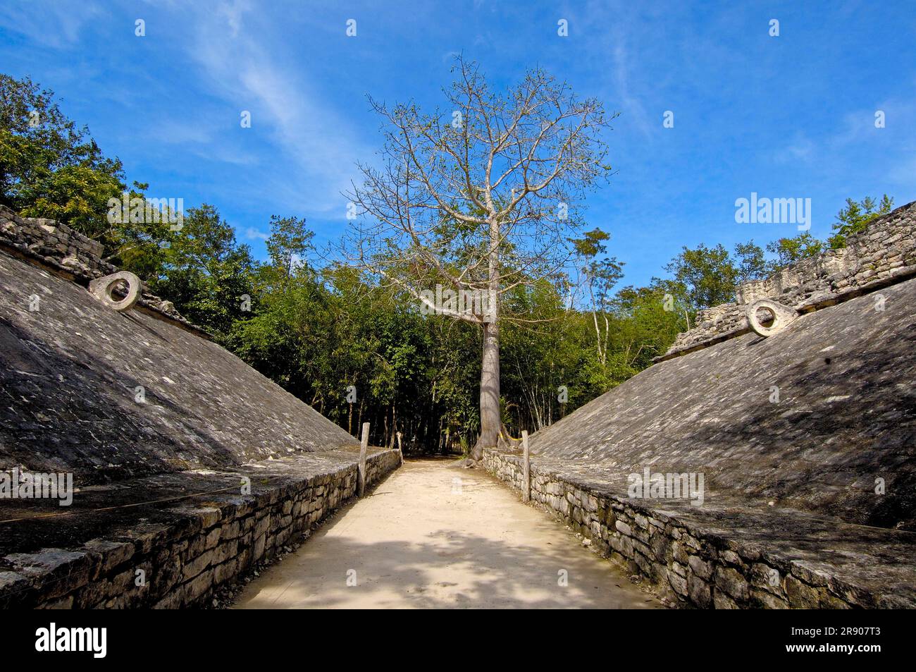 Ball court, Mayan ruins of Coba, Caribe, Quintana Roo, Riviera Maya, Yucatan, Mexico Stock Photo