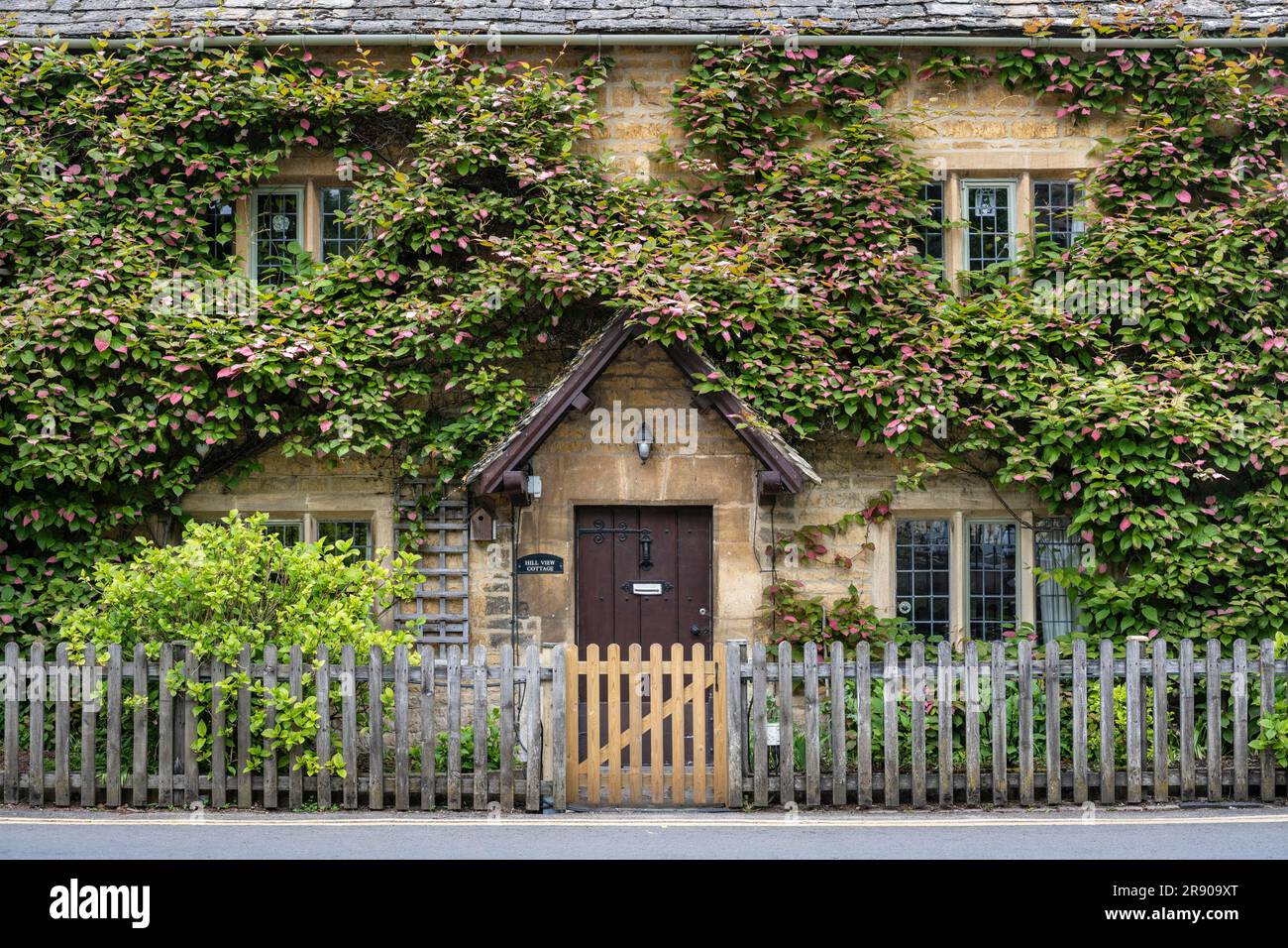 Typical yellow Cotswolds stone house with dense plant growth on the