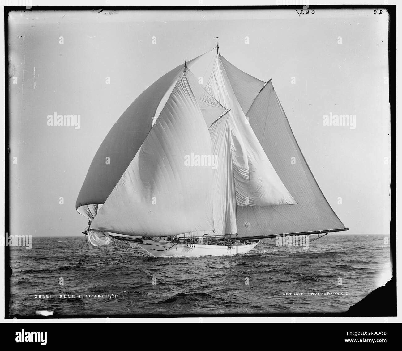 Alcaea, 1892 Aug 4 Stock Photo - Alamy