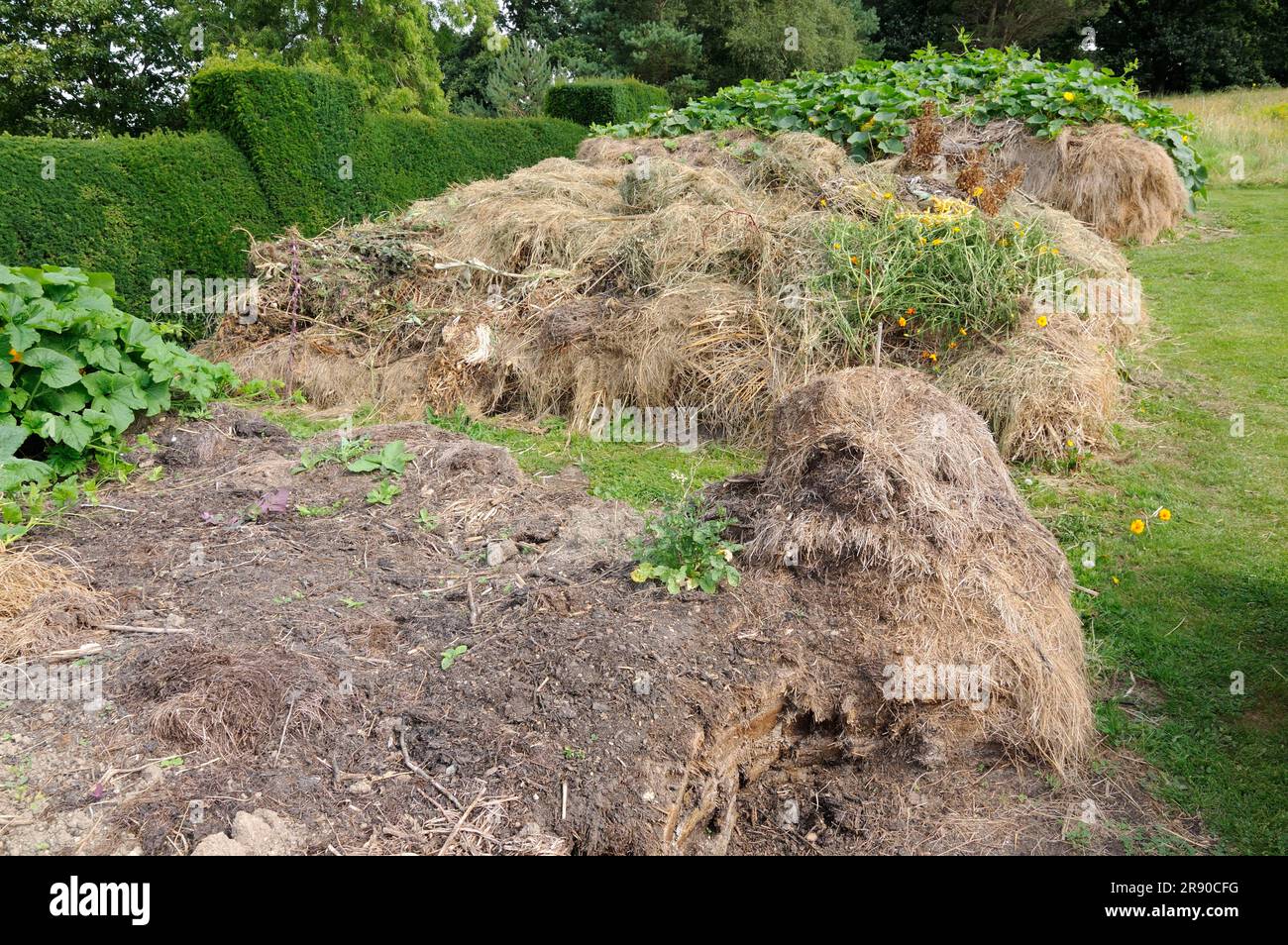 Compost, compost heap Stock Photo Alamy
