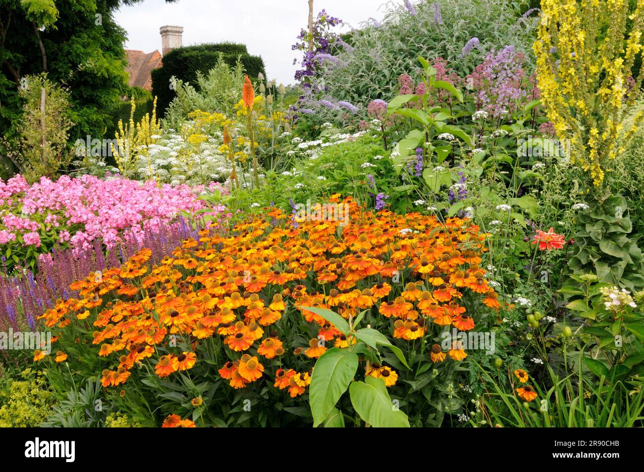 Flowerbed, perennial garden with sunflower Moerheim Beauty (Helenium hybride) Stock Photo