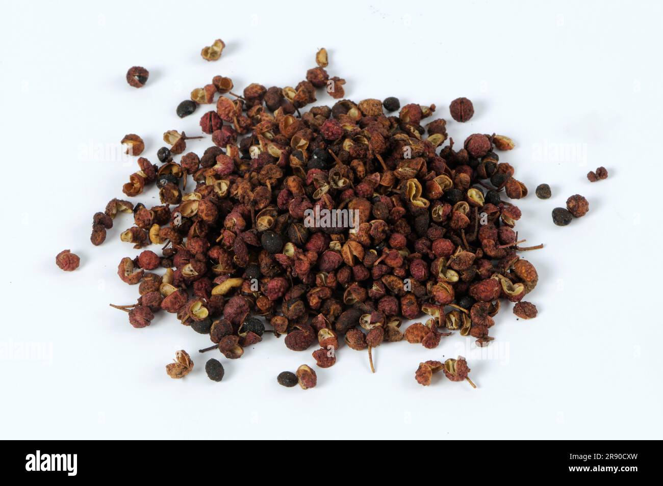 Sichuan pepper (simulans) (bungeanum) (rhetsa) (acanthopodium), flowering pepper, Szetschuan pepper, mountain pepper, Chinese pepper, Zanthoxylum Stock Photo