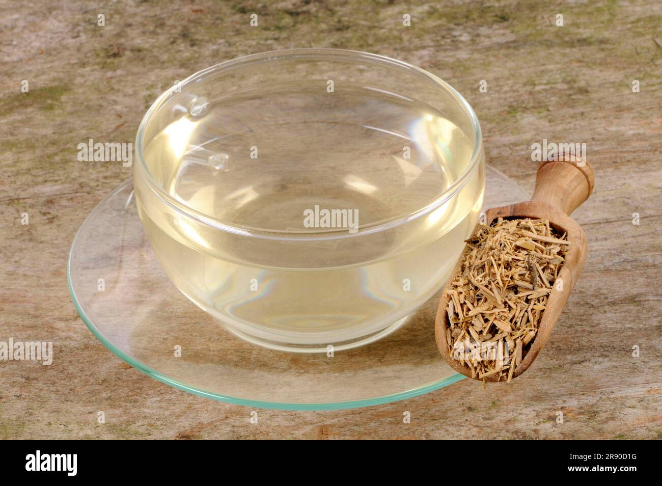 Cup (Ptychopetalum olacoides) Muira puama tea (Liriosma ovata), mara puama, marapama, potency