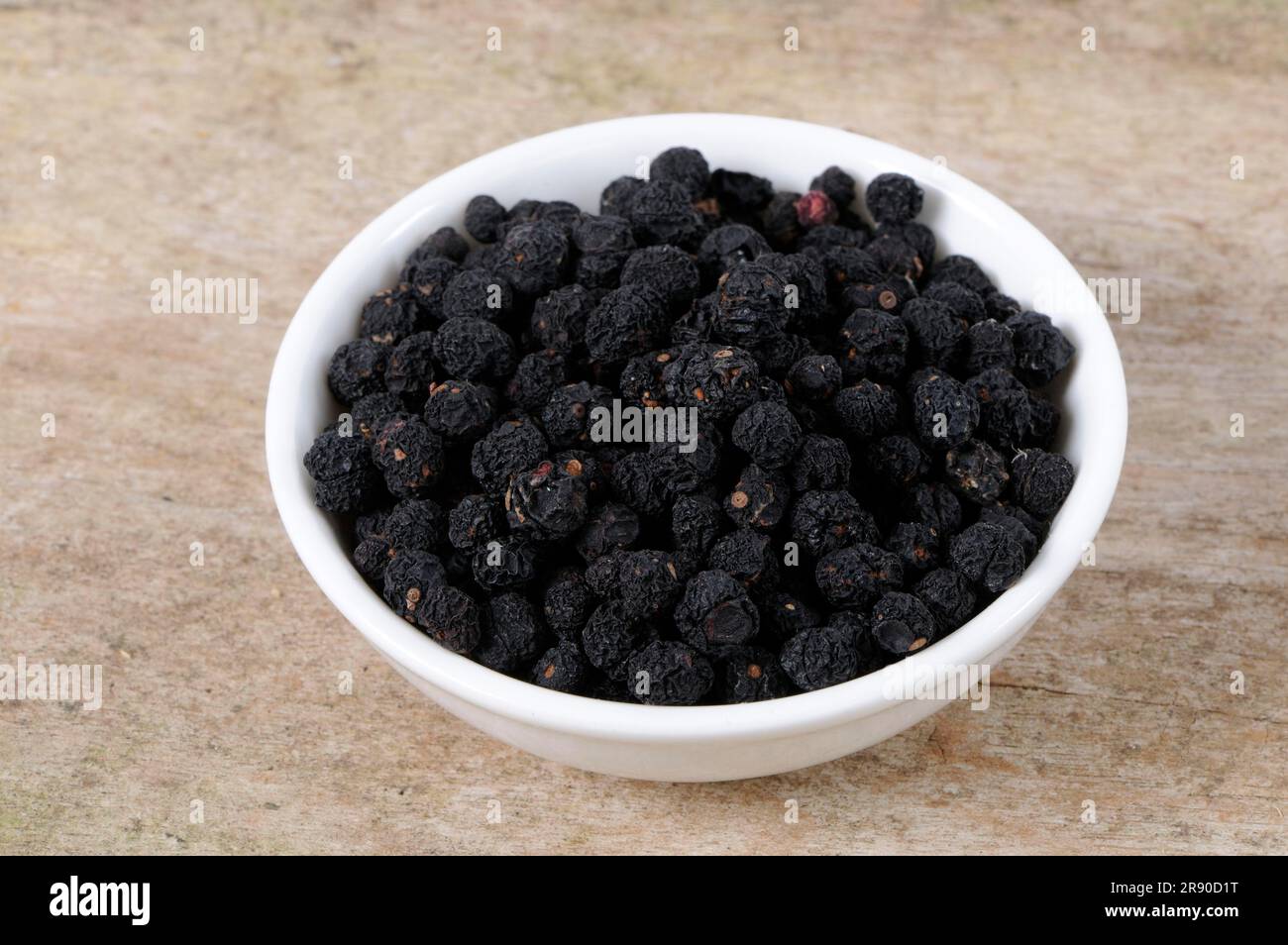 Tasmanian pepper (Tasmannia lanceolata), mountain pepper, Australian