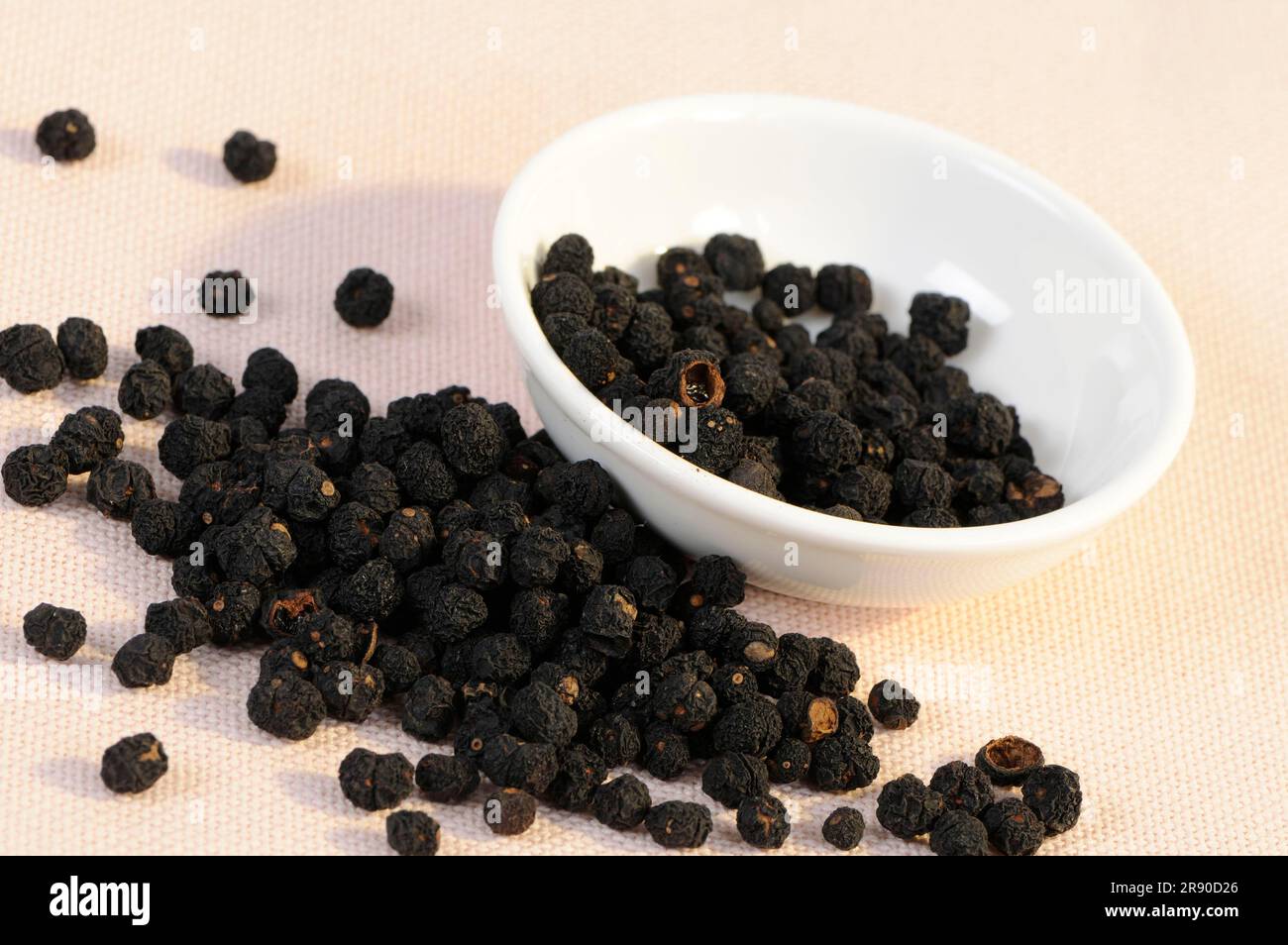 Tasmanian pepper (Tasmannia lanceolata), mountain pepper, Australian