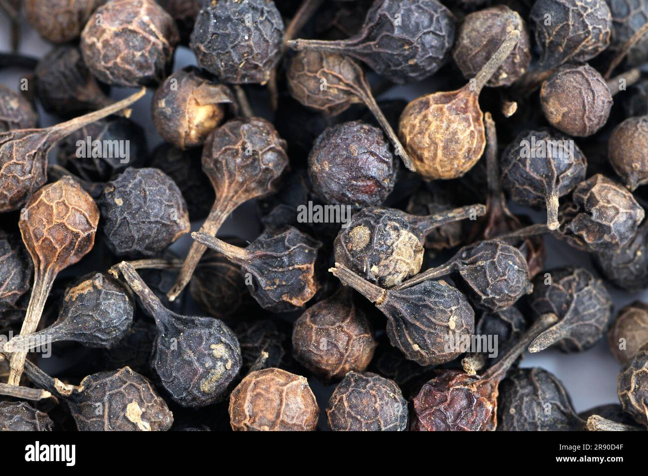 Cubeb pepper (Piper cubeba) , cubeb pepper, cubeb pepper Stock Photo