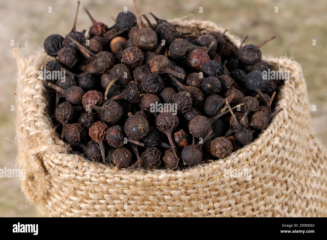 Cubeb pepper (Piper cubeba) , cubeb pepper, cubeb pepper Stock Photo