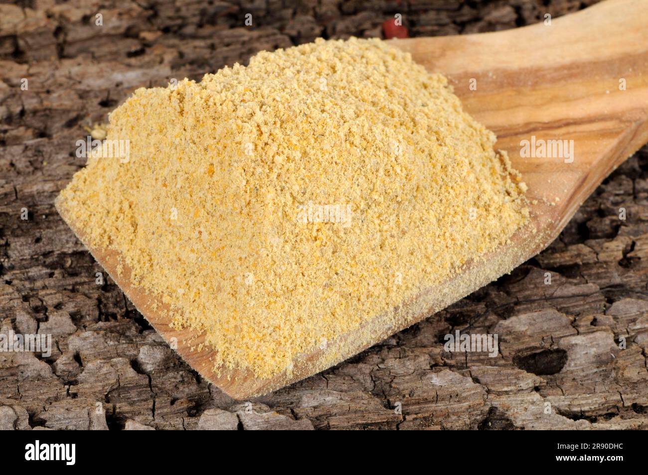 Asafoetida (Ferula asafoetida), stinking chewing gum, devil's excrement