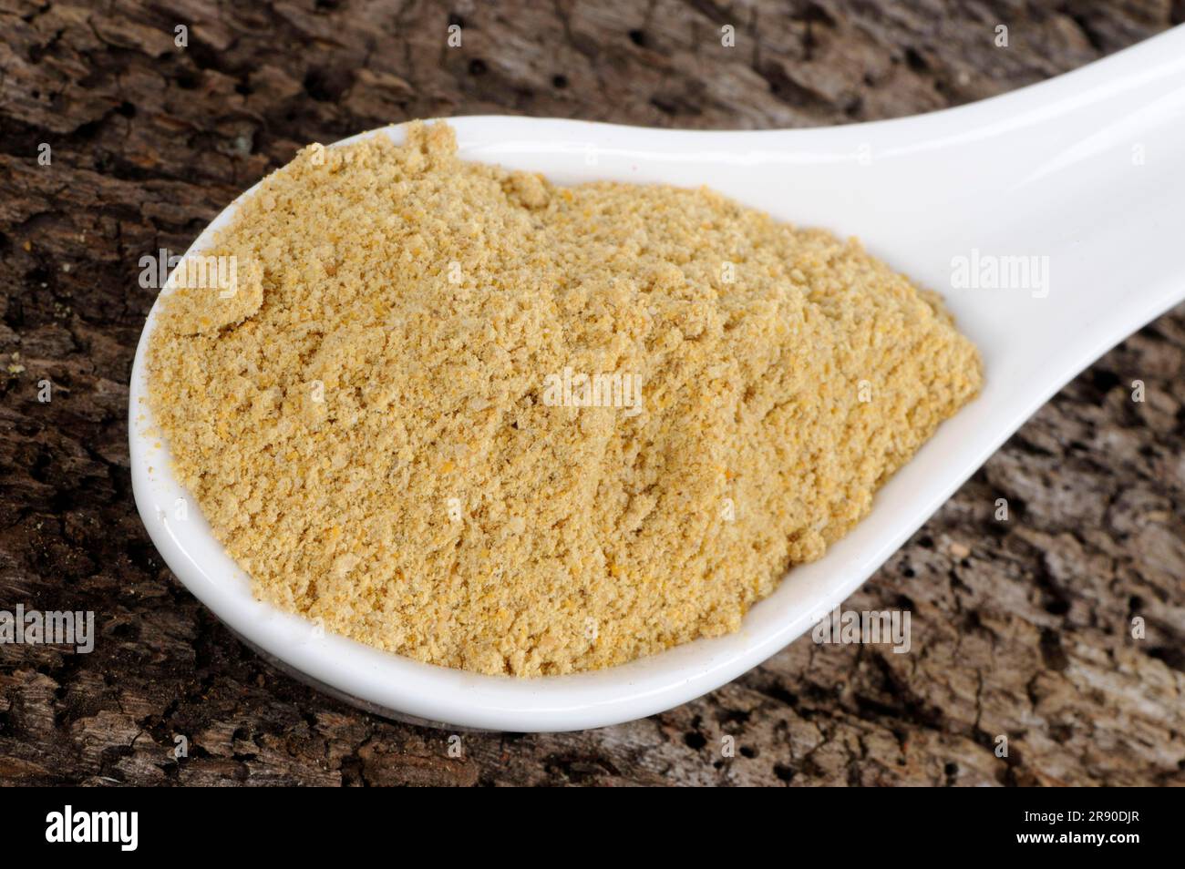 Asafoetida (Ferula asafoetida), stinking chewing gum, devil's excrement