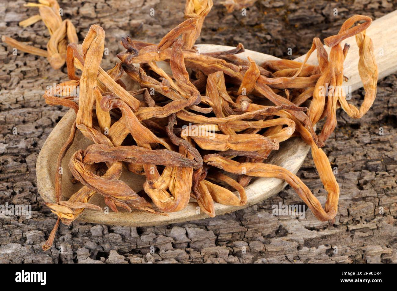 Dried, lily flowers Stock Photo Alamy
