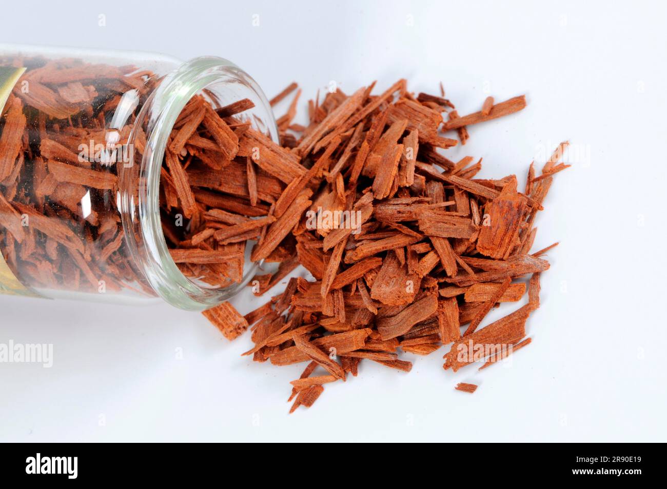 Pterocarpus santalinus (Pterocarpus santalinus) sandalwood tree, potash ...