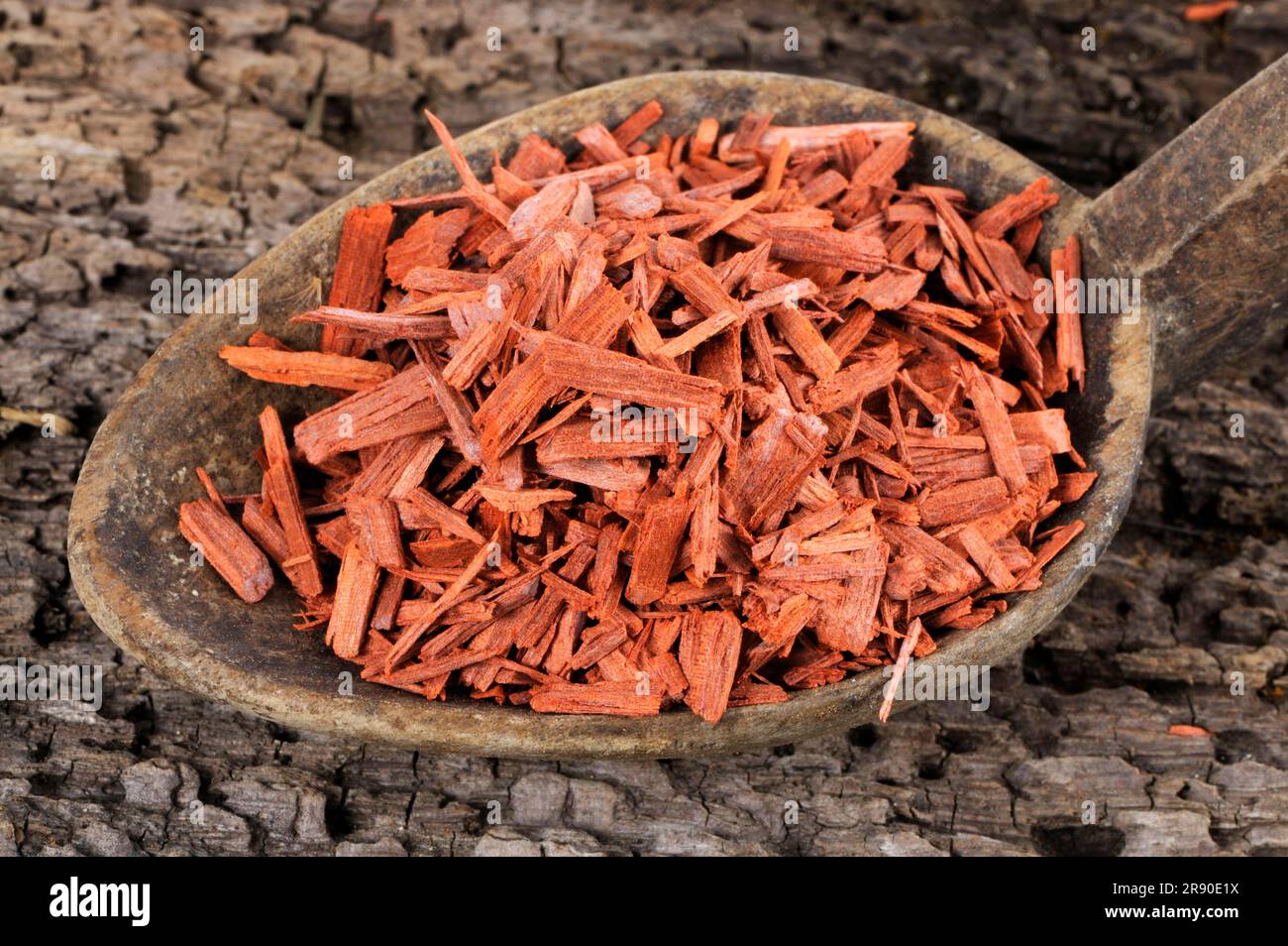 Pterocarpus santalinus (Pterocarpus santalinus) sandalwood tree, potash