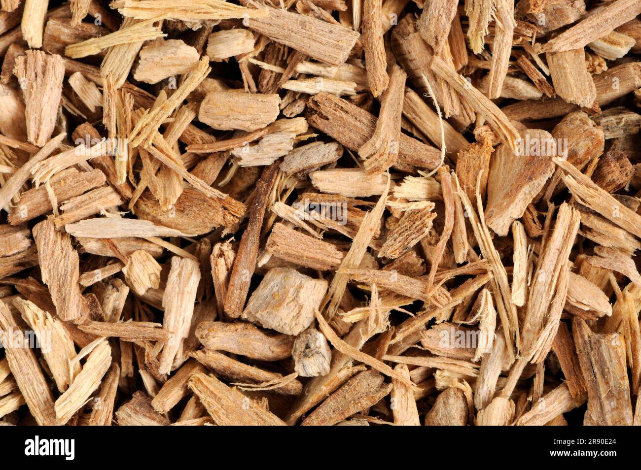 White sandalwood (Santalum album), incense woods Stock Photo