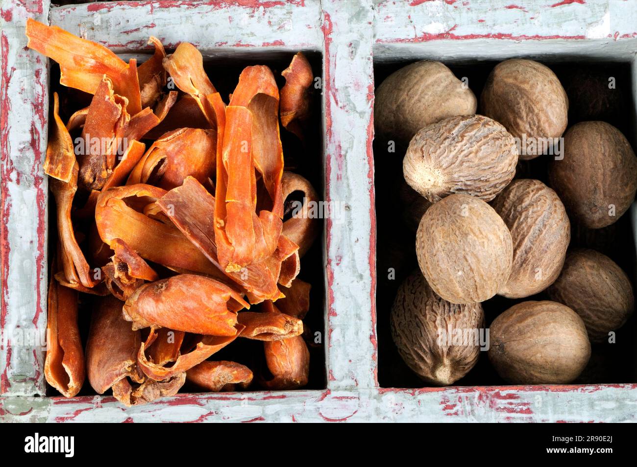 Nutmeg and mace (Myristica fragrans), mace Stock Photo Alamy
