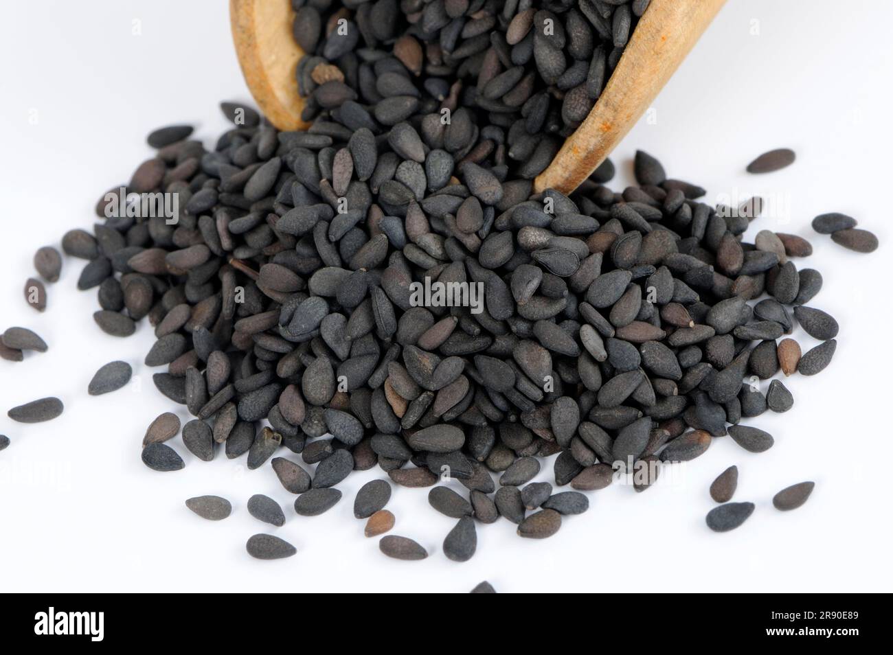 Black sesame (Sesamum indicum Stock Photo - Alamy