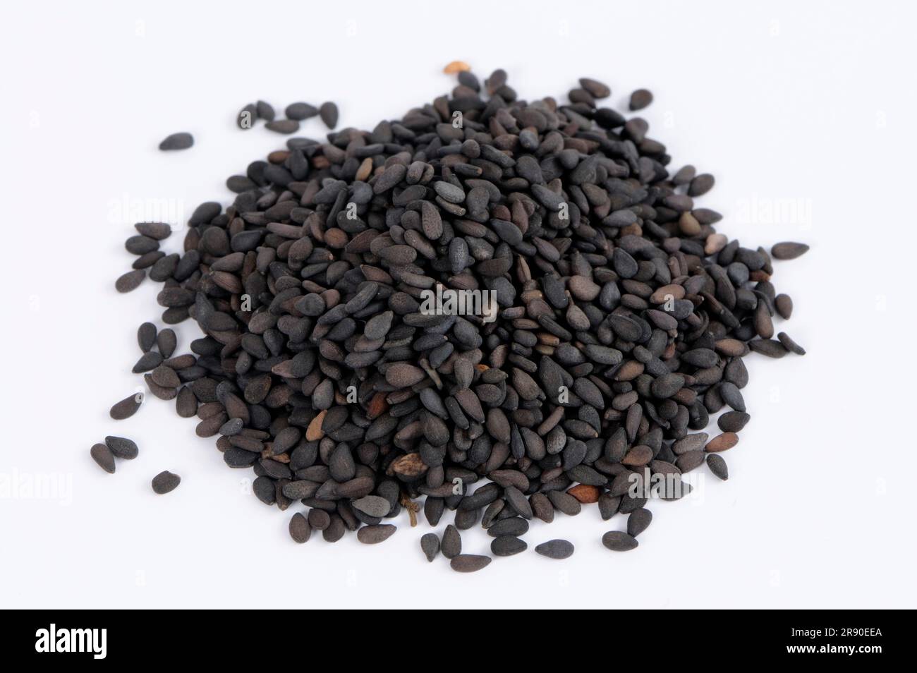 Black sesame (Sesamum indicum Stock Photo - Alamy