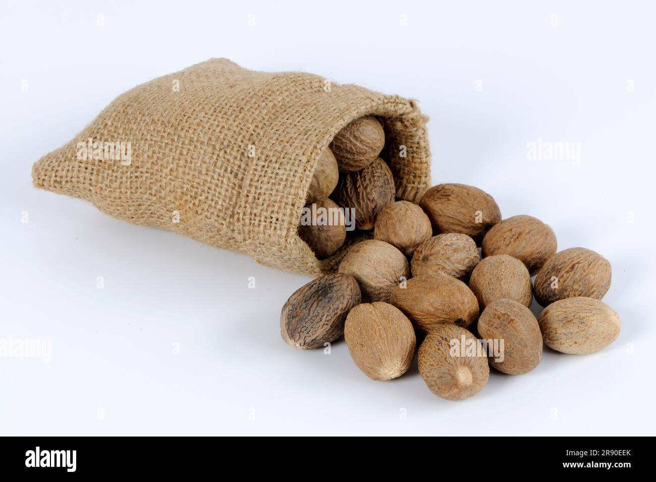 Nutmegs (Myristica fragrans), Myristicaceae (Myristicaceae) Stock Photo