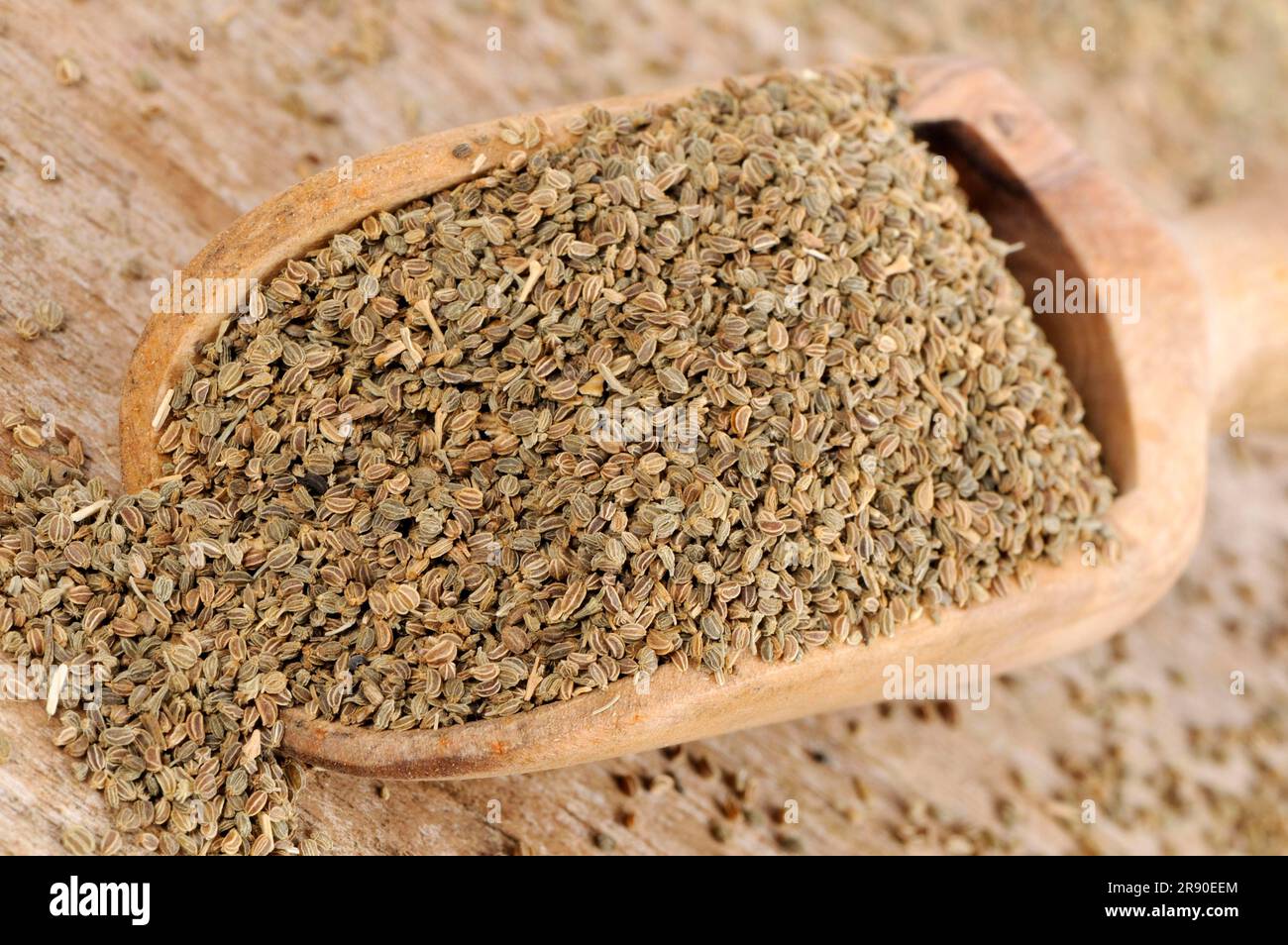 Celery seed hires stock photography and images Alamy
