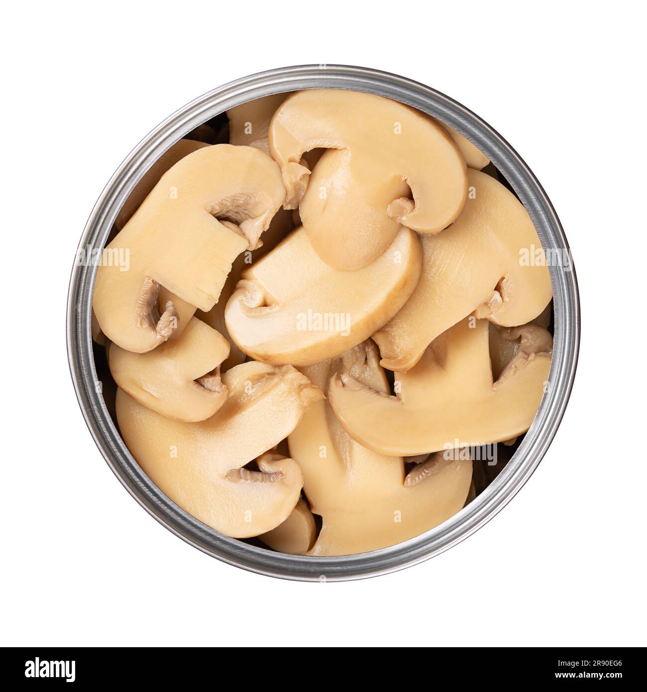 Canned sliced white champignon mushrooms, in a open tin can. Agaricus bisporus, also called common, button, cultivated or table mushroom. Close-up. Stock Photo