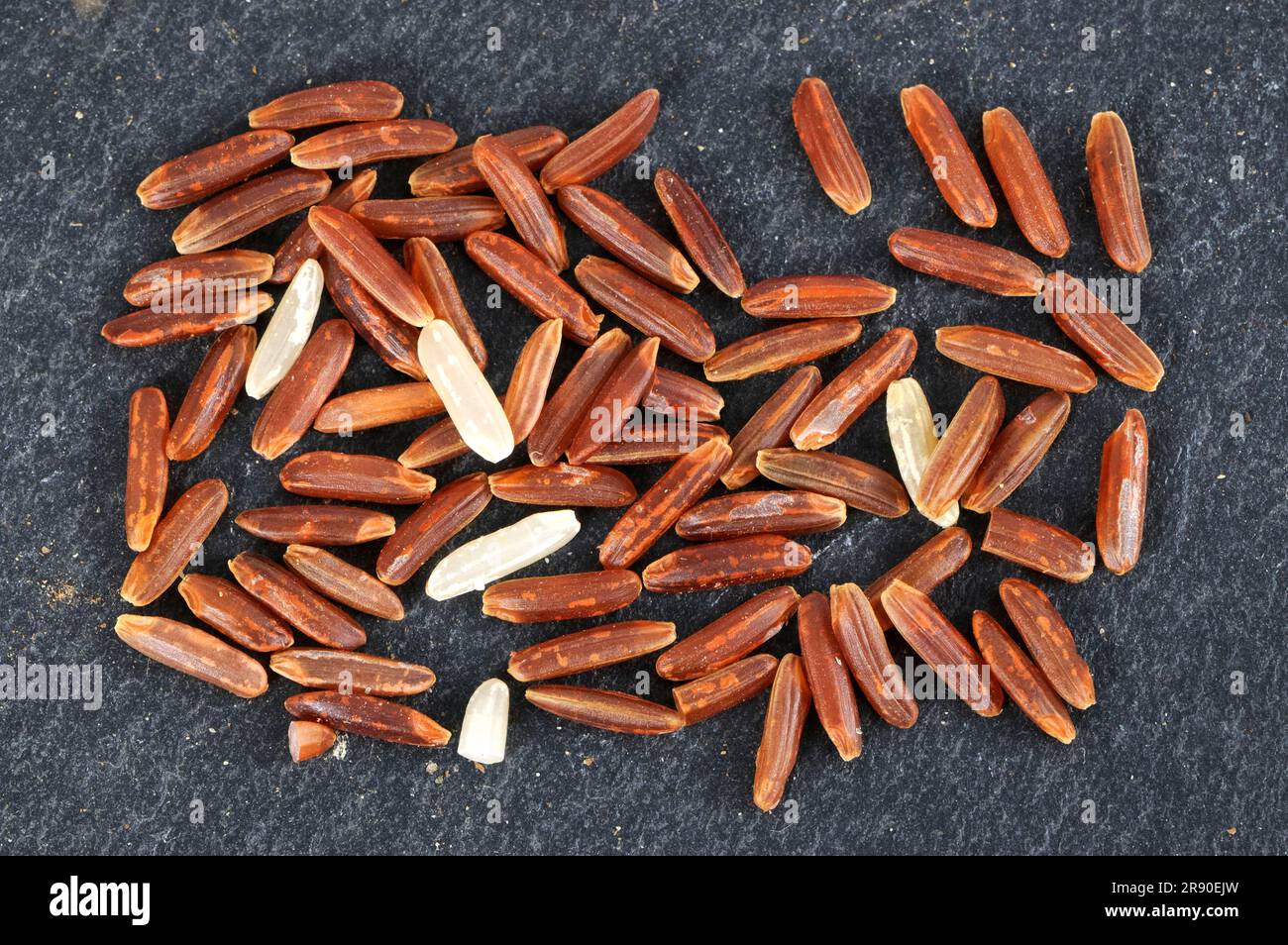 Red wholemeal rice (Oryza sativa), rice grains Stock Photo - Alamy