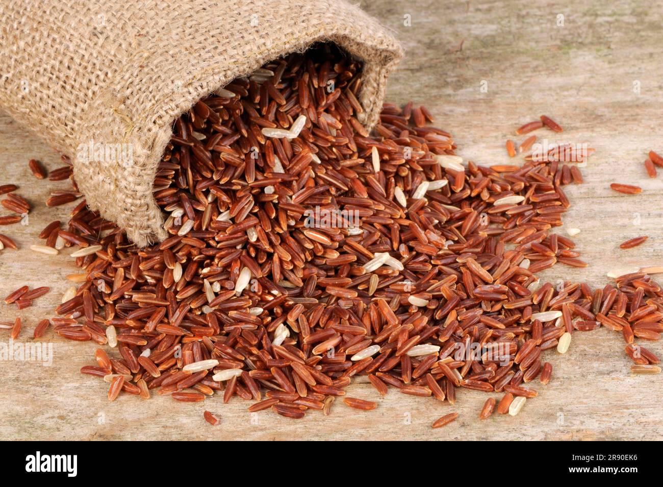 Red wholemeal rice (Oryza sativa), rice grains Stock Photo - Alamy