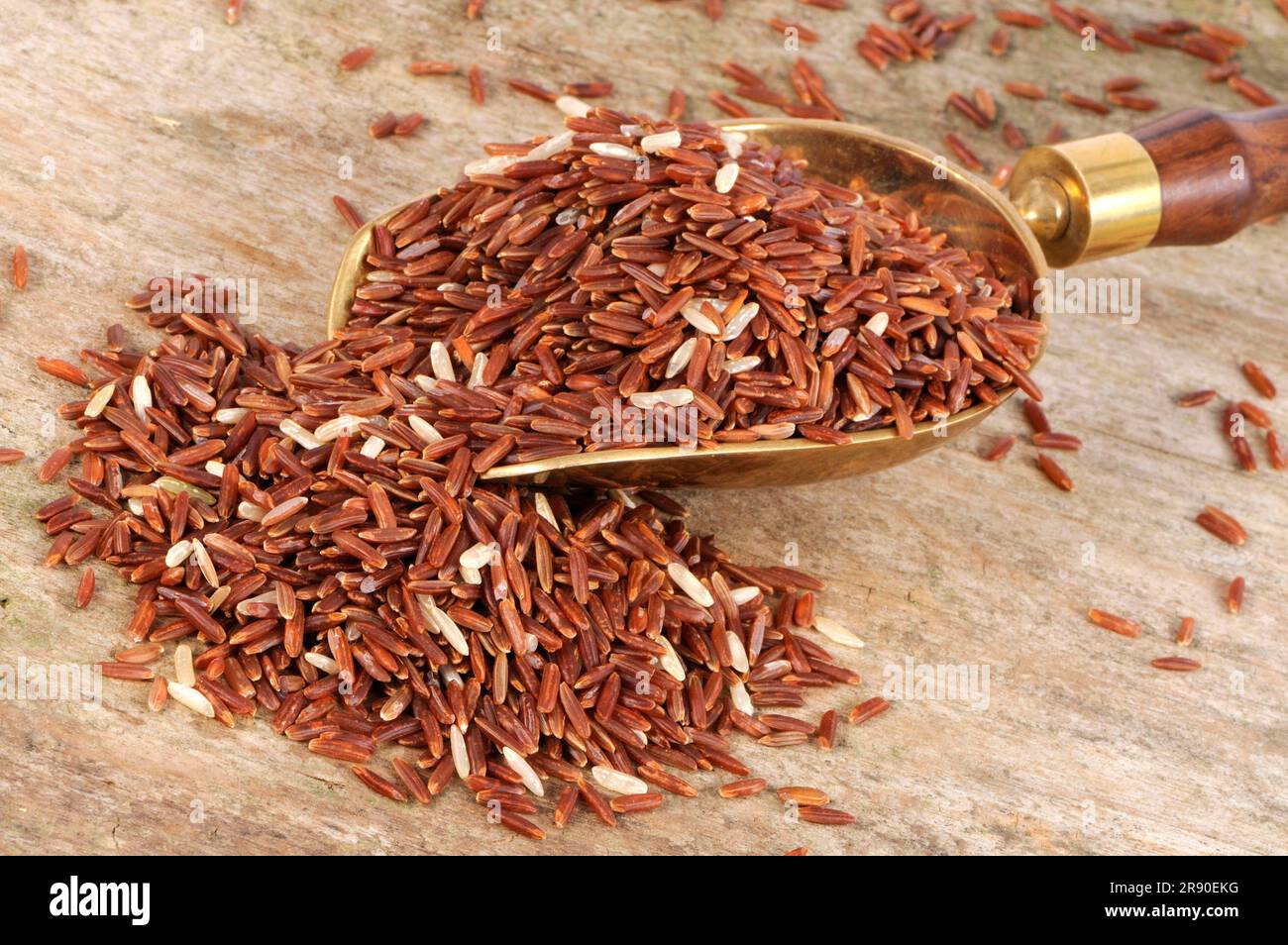 Red wholemeal rice (Oryza sativa), rice grains Stock Photo - Alamy