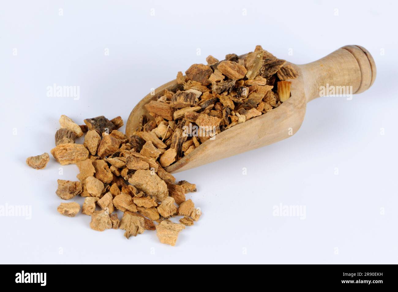 Gentian root (Radix gentianae), bitter root, feverfew, high root