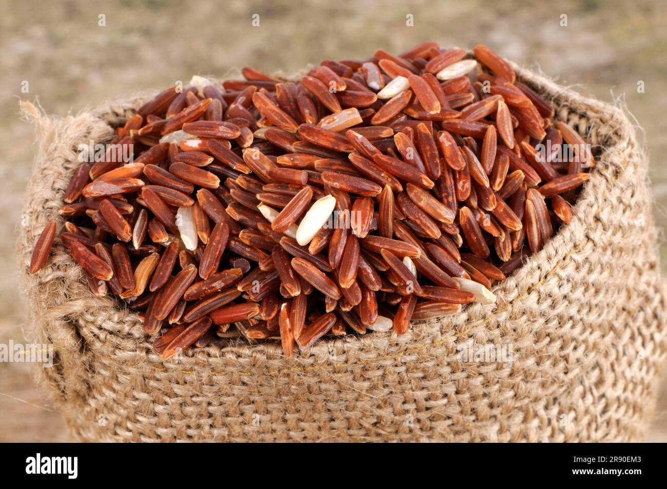 Red wholemeal rice (Oryza sativa), rice grains Stock Photo - Alamy
