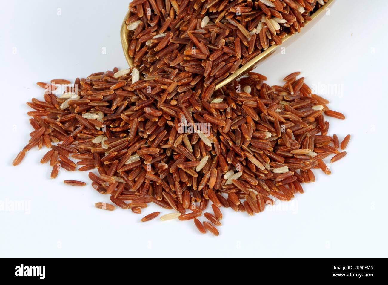 Red wholemeal rice (Oryza sativa), rice grains Stock Photo - Alamy