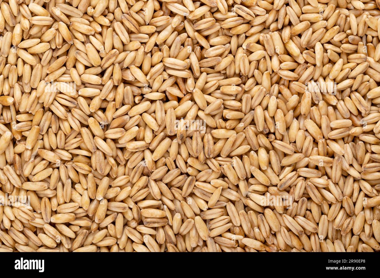 Hulled oat grains hires stock photography and images Alamy