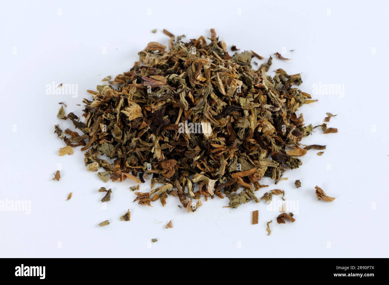 Mongolian dandelion herb (Taraxaci Herba), Pu Gong Ying, cut out, object Stock Photo
