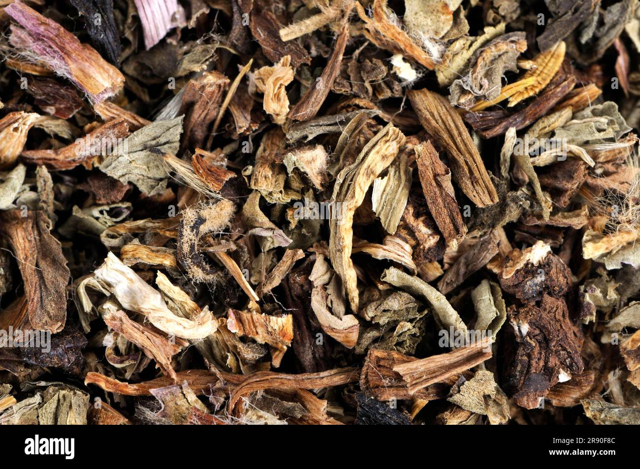 Mongolian Dandelion Herb (Taraxaci Herba), Pu Gong Ying Stock Photo